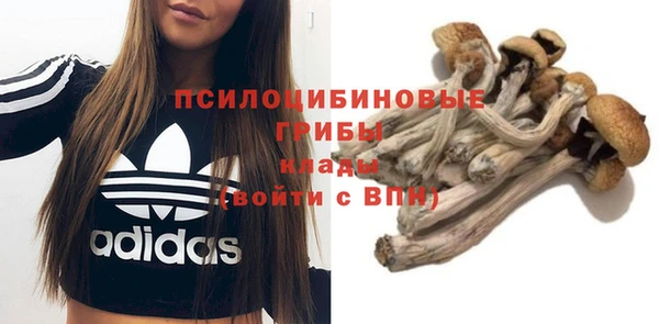 бутират Богородицк
